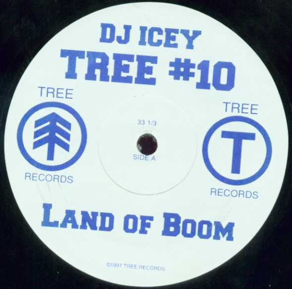 DJ Icey : Land Of Boom / As If (12
