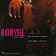 Load image into Gallery viewer, Akinyele : Take A Lick (12", Promo)