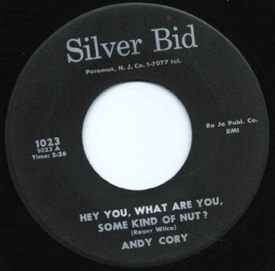 Andy Cory : Hey You, What Are You, Some Kind Of Nut? (7