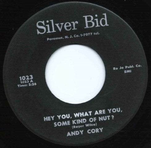 Andy Cory : Hey You, What Are You, Some Kind Of Nut? (7