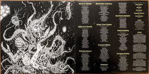 Outer Heaven (2) : Realms Of Eternal Decay (LP, Album, Ltd, Gre)