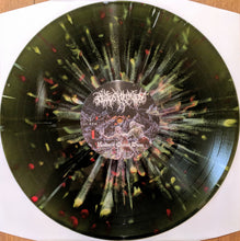 Load image into Gallery viewer, Outer Heaven (2) : Realms Of Eternal Decay (LP, Album, Ltd, Gre)