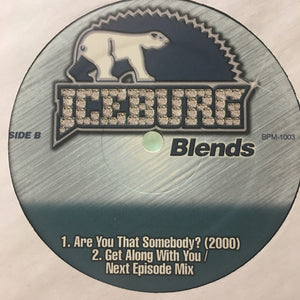 Various : Iceburg Blends (12")