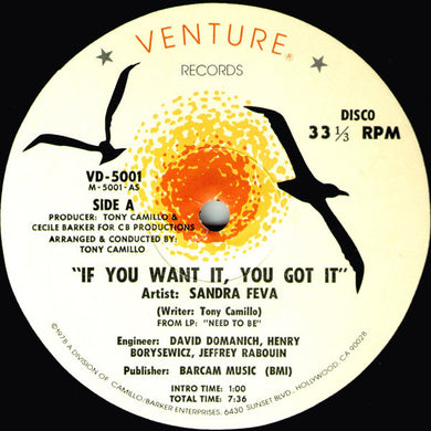 Sandra Feva : If You Want It, You Got It (12