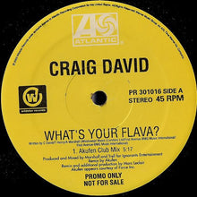 Load image into Gallery viewer, Craig David : What's Your Flava? (12", Promo)