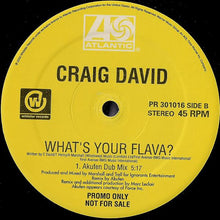 Load image into Gallery viewer, Craig David : What's Your Flava? (12", Promo)