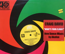 Load image into Gallery viewer, Craig David : What's Your Flava? (12", Promo)