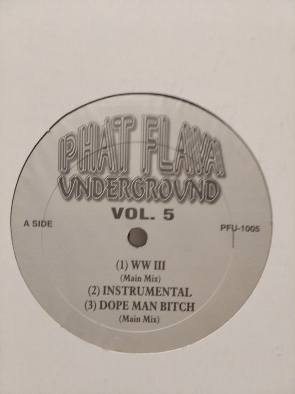 Various : Phat Flava Underground Vol.5 (12