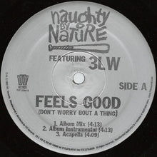 Load image into Gallery viewer, Naughty By Nature Featuring 3LW : Feels Good (Don&#39;t Worry Bout A Thing) (12&quot;)