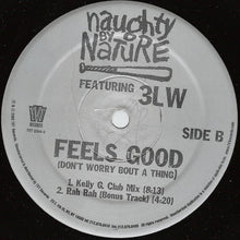 Load image into Gallery viewer, Naughty By Nature Featuring 3LW : Feels Good (Don&#39;t Worry Bout A Thing) (12&quot;)