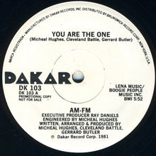 Load image into Gallery viewer, AM - FM* : You Are The One (12&quot;, Promo)