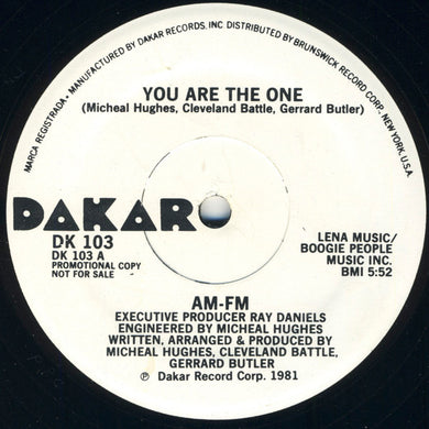 AM - FM* : You Are The One (12