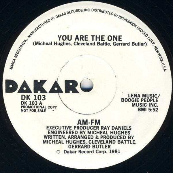 AM - FM* : You Are The One (12