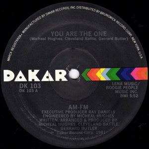 AM-FM : You Are The One (12", PRC)