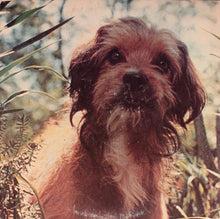 Load image into Gallery viewer, No Artist : The Story, Sounds And Melodies From Joe Camp's Family Film: Benji (LP, Gat)