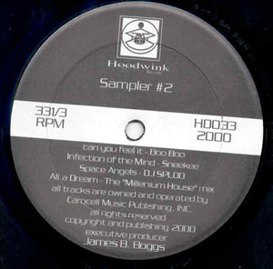 Various : Hoodwink Sampler #2 (12")