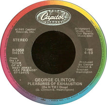 Load image into Gallery viewer, George Clinton : Do Fries Go With That Shake (7")