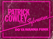 Load image into Gallery viewer, Patrick Cowley Featuring Sylvester : Do Ya Wanna Funk (12&quot;)