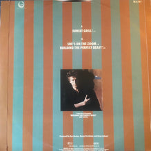 Load image into Gallery viewer, Don Henley : Sunset Grill (12&quot;)
