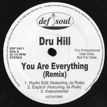 Load image into Gallery viewer, Dru Hill : You Are Everything (Remix) (12&quot;, Promo)