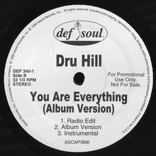 Load image into Gallery viewer, Dru Hill : You Are Everything (Remix) (12&quot;, Promo)