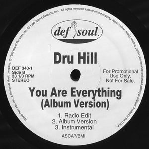 Dru Hill : You Are Everything (Remix) (12", Promo)