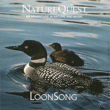 Load image into Gallery viewer, Robert W. Baldwin : LoonSong (CD, Album)