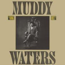 Load image into Gallery viewer, Muddy Waters : King Bee (CD, Album, RE, RM)