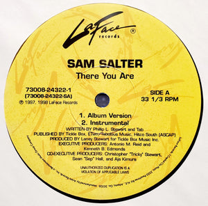 Sam Salter : There You Are (12")