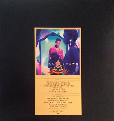 Little Shawn : The Voice In The  Mirror (LP, Album, Promo)