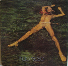 Load image into Gallery viewer, Ney Matogrosso : Mato Grosso (LP, Album)
