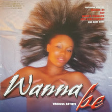 Load image into Gallery viewer, Various : Wanna Be (LP, Comp)