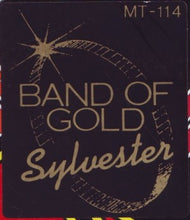 Load image into Gallery viewer, Sylvester : Band Of Gold (12&quot;)