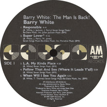 Load image into Gallery viewer, Barry White : Put Me In Your Mix (LP, Album)