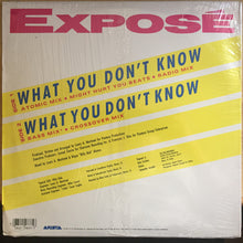 Load image into Gallery viewer, Exposé : What You Don't Know (12")