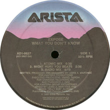Load image into Gallery viewer, Exposé : What You Don't Know (12")