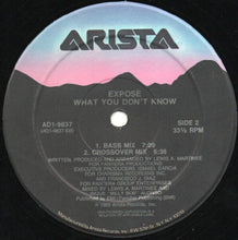 Load image into Gallery viewer, Exposé : What You Don't Know (12")