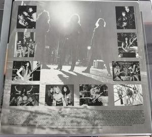 Raven (6) : Nothing Exceeds Like Excess (LP, Album)