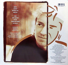 Load image into Gallery viewer, Neil Larsen : Through Any Window (LP, Album)