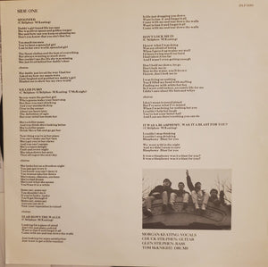 Mallet-Head : Mallet-Head (LP, Album)