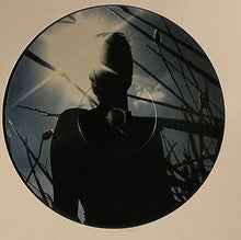 Load image into Gallery viewer, Colder : Crazy Love (12")