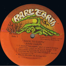 Load image into Gallery viewer, Rare Earth : Back To Earth (LP, Album)