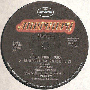 Rainbirds : Blueprint (12", EP, Promo)