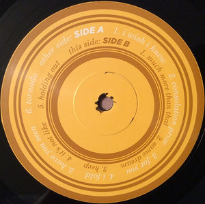 Sharon Van Etten : Because I Was In Love (LP, Album)