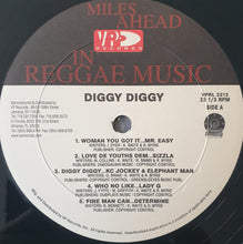 Load image into Gallery viewer, Various : Diggy Diggy (2xLP, Comp)