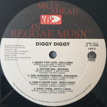 Load image into Gallery viewer, Various : Diggy Diggy (2xLP, Comp)