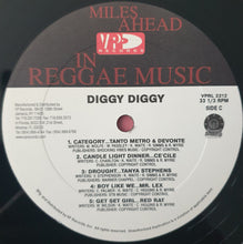 Load image into Gallery viewer, Various : Diggy Diggy (2xLP, Comp)