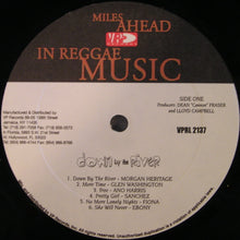 Load image into Gallery viewer, Various : Down By The River (LP, Comp)