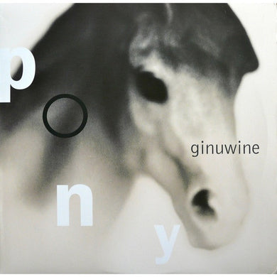 Ginuwine : Pony (12