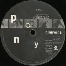 Load image into Gallery viewer, Ginuwine : Pony (12&quot;)